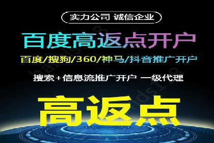 精准投放，高效转化：关键词竞价排名案例解析