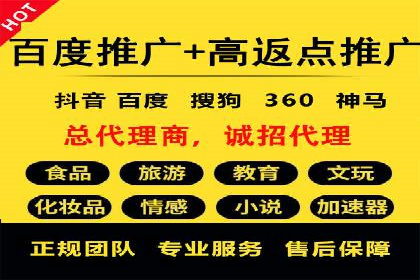 专业SEM托管助力企业快速成长案例分析